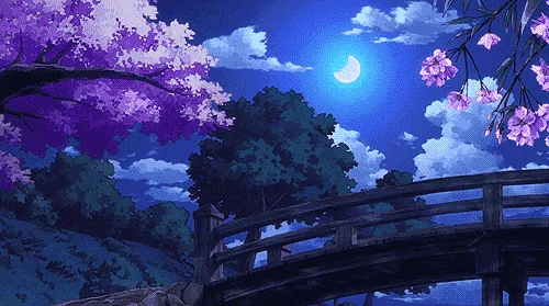 1629002261905.webp
