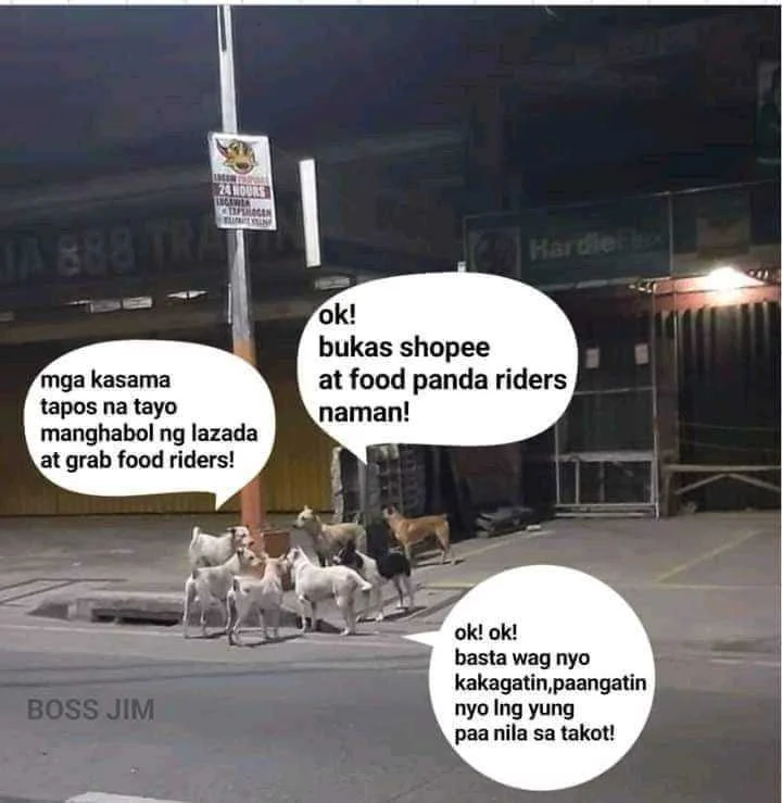 FB_IMG_16291545943217871.webp