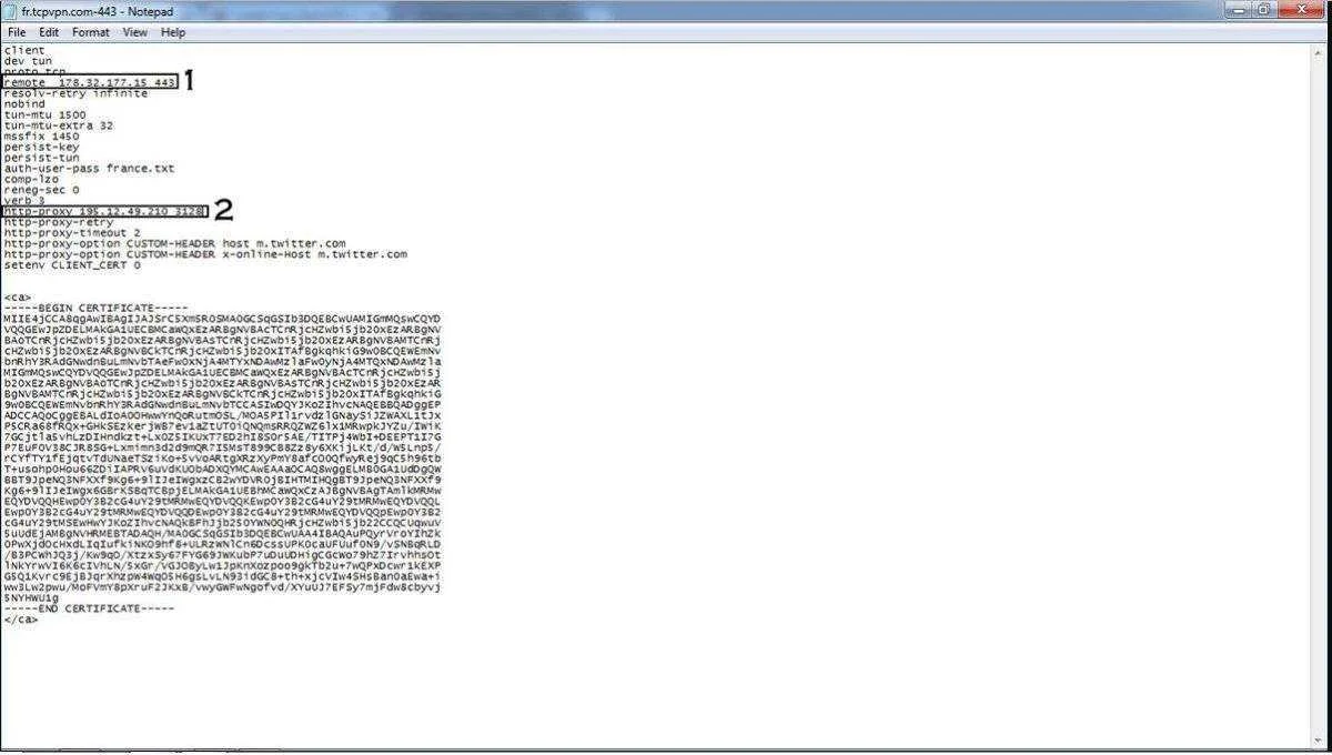 1.webp