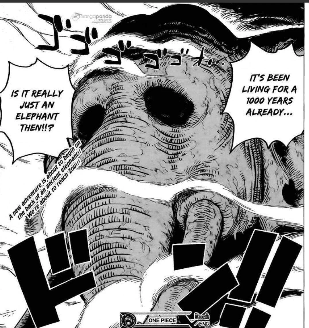 Chapter 802 Review: ZOU
