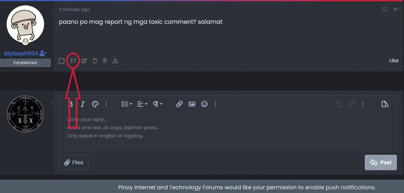 report.webp