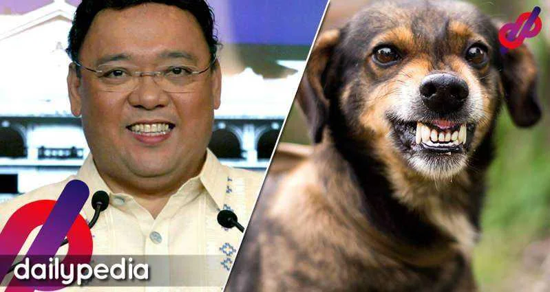 Harry Roque refuses to use the word dog when using idiom in referring to Pres. Rodrigo Duterte
