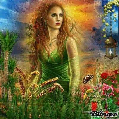 FB_IMG_1629618499185.webp