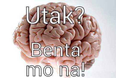 a326039523b2ddd11902b297718961640bfdb3421ac5e19f971efcd89077f60b.webp