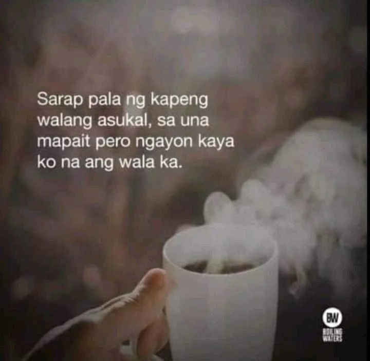FB_IMG_16298063209263691.webp