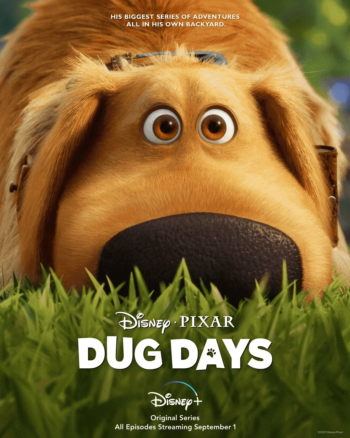 Dug Days SEASON 1 COMPLETE 720p 10bit WEBRip 2CH x265 HEVC