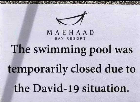 david.webp