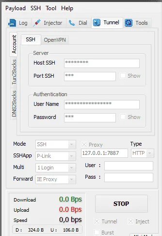 svl2.webp
