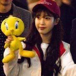 Daily Dose of IU 55