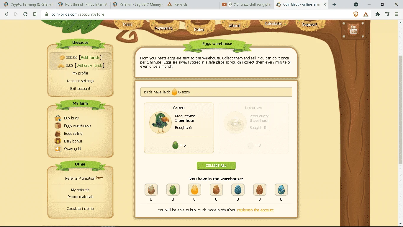 mYBIRD.webp