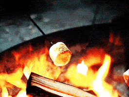 4968297_200.gif