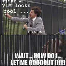 vim.webp