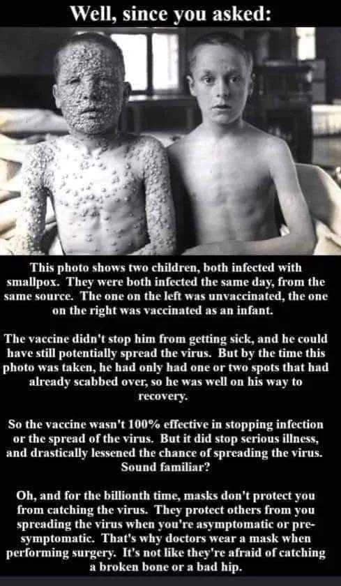 FB_IMG_1631613959166.webp
