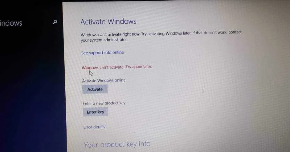 241980853_903070643630318_3338718809595886498_n.webp