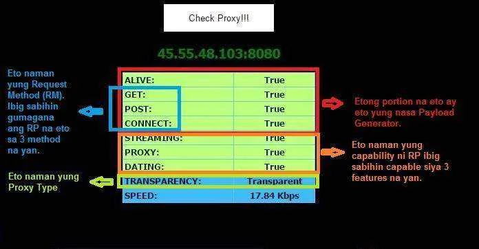 RP_1.webp