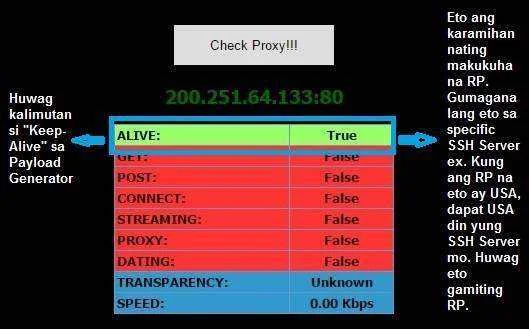 RP_3.webp