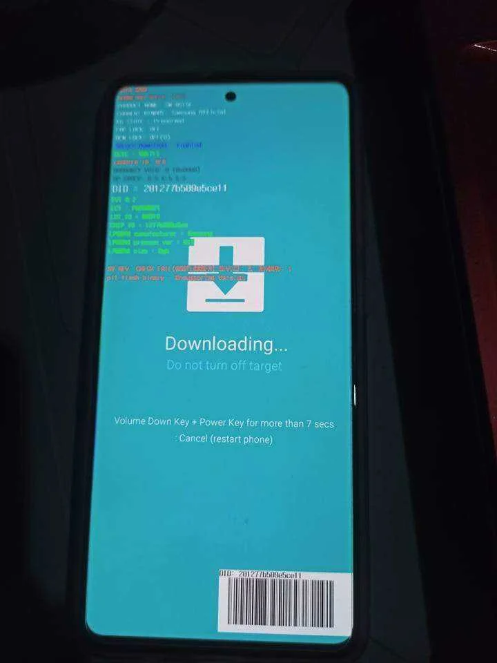 241549504_1212880865877597_8605316674505299728_n.webp