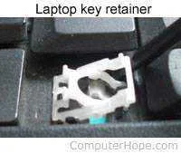 retainer.webp