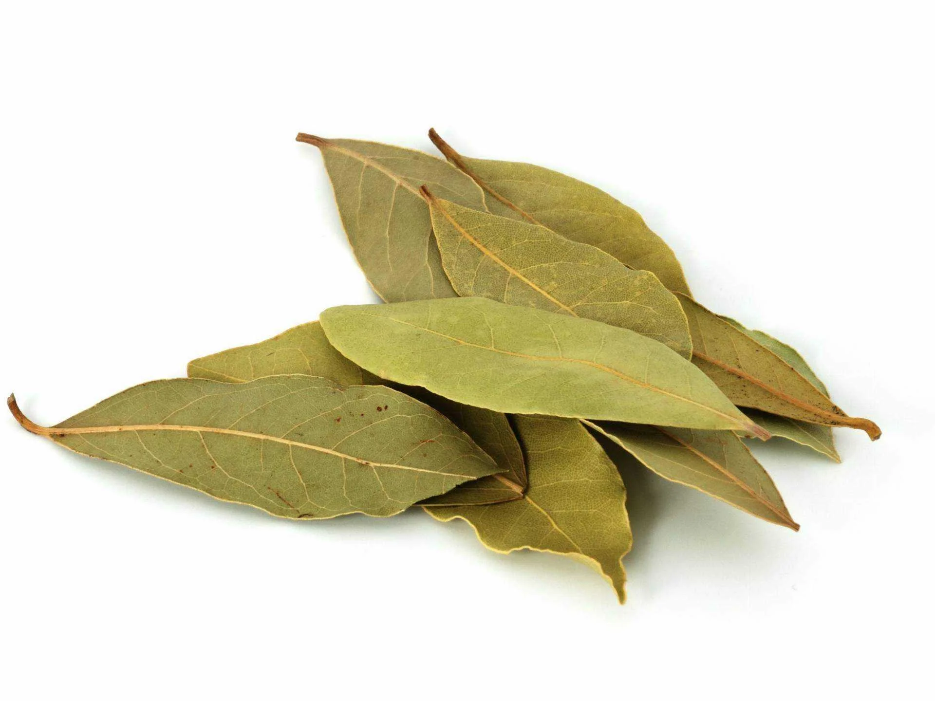 bay-leaves-dry-2500-56a210353df78cf772718c1f.webp