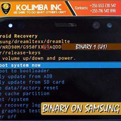 BINARY.webp