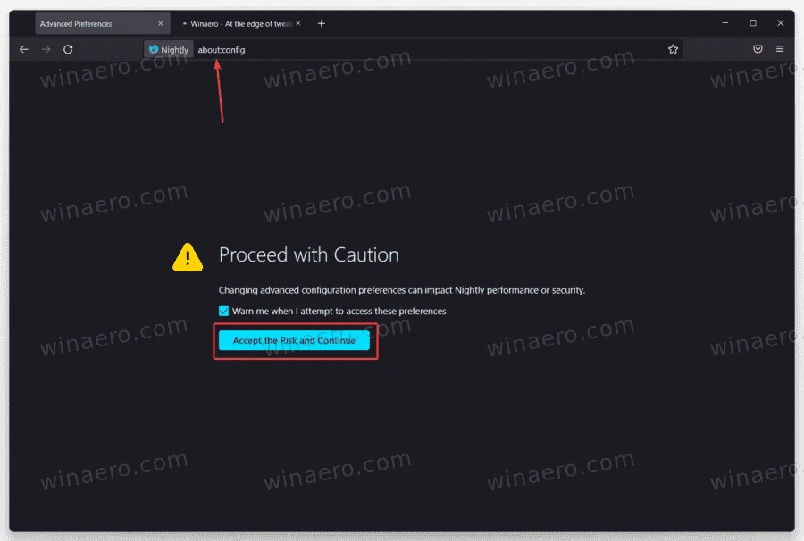 Enable-the-The-Firefox-100-user-agent-string-1.png