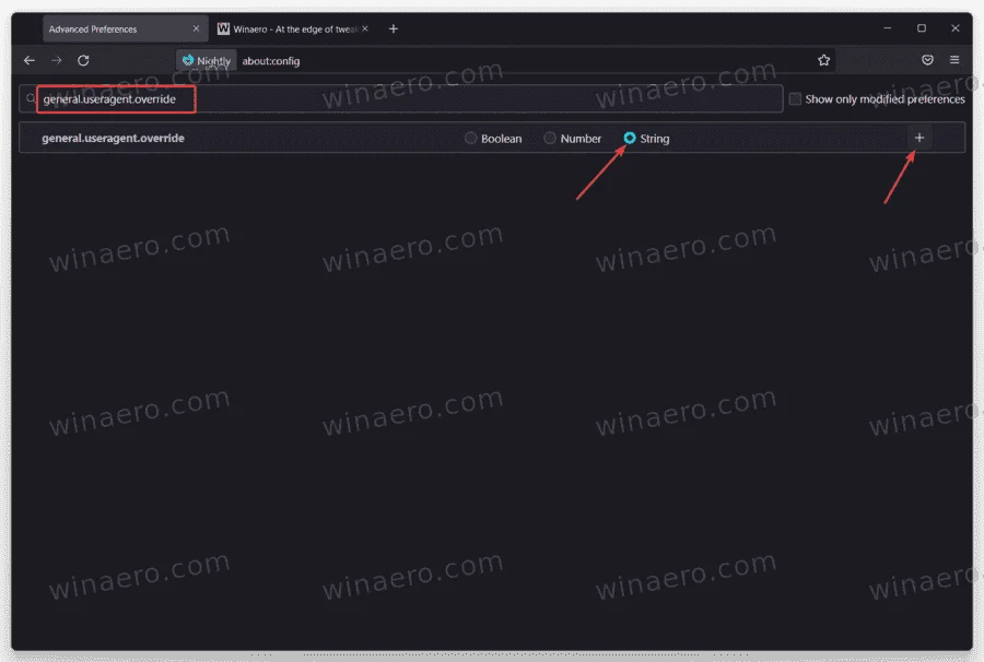 Enable-the-The-Firefox-100-user-agent-string-2.png
