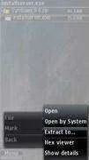10_Extract_Installserver.webp