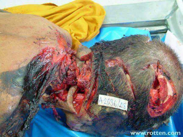 292875d1311758844-death-machete-myanmar2.webp