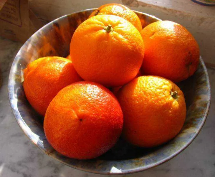 108016302_64bbfdfbe2_o-730x603.webp