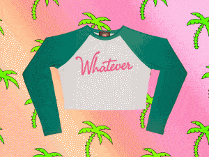 Crop-300x225.gif