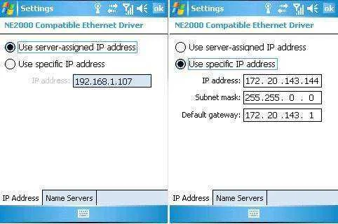blackberry1.webp