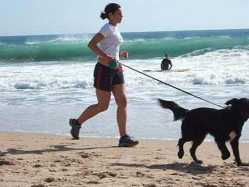 2461157879_1d3a3ab352_z.webp
