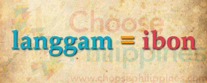 09-langgam-ibon.webp