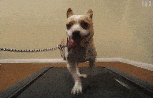 gastos-free-stress-relief-07-exercise.gif