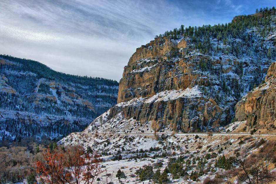 big-horn-forest-940x626.webp