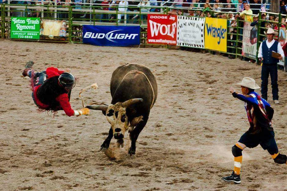 rodeo-jackson-wyoming-940x626.webp