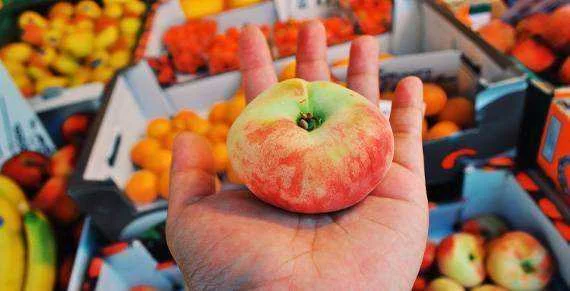 2010_travel_healthy.webp