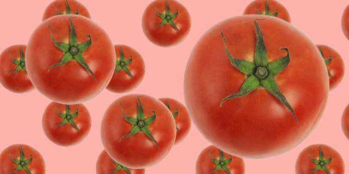 15-facts-about-tomatoes-696x348.webp