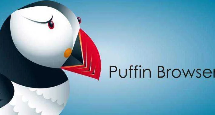Lead_Image_Puffin-709x381.webp