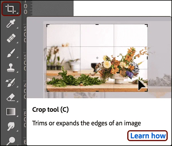 PS_01_Learn.webp