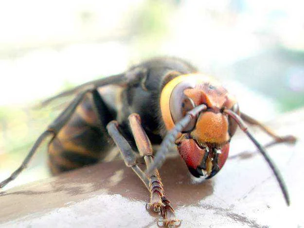 creepy-facts-2.webp