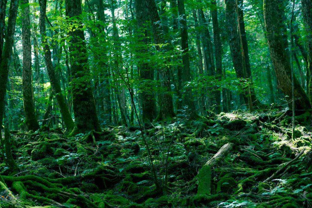 creepy-facts-13-1024x683.webp