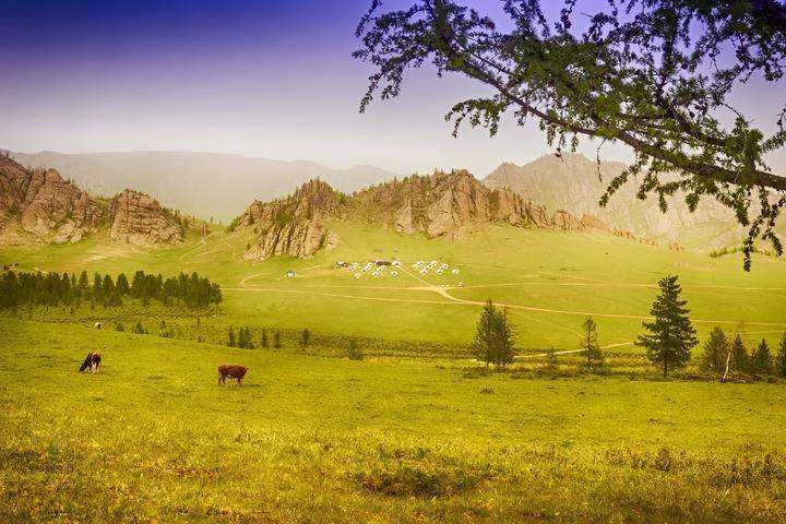 ghorki-terelj-national-park_12.webp