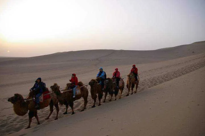 camel-ride-in-the-gobi-desert_11.webp