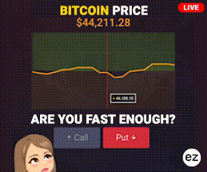 ezdoubler.gif