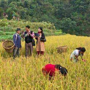 FB_IMG_1632869427473.webp