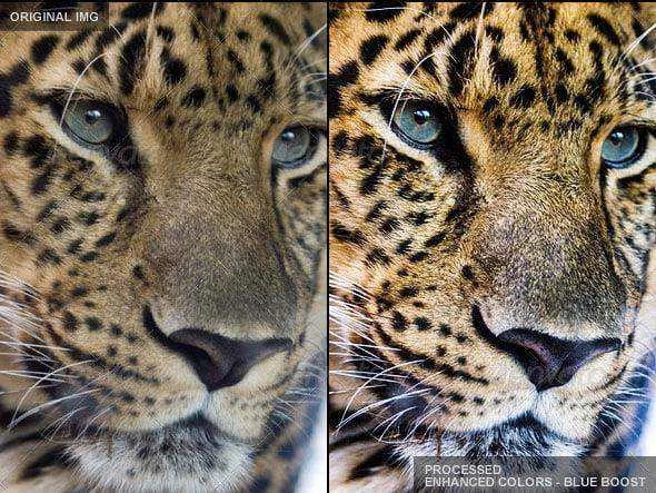 LR PRESET.webp