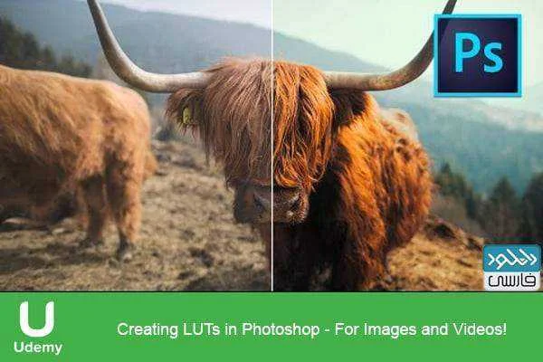 luts.webp