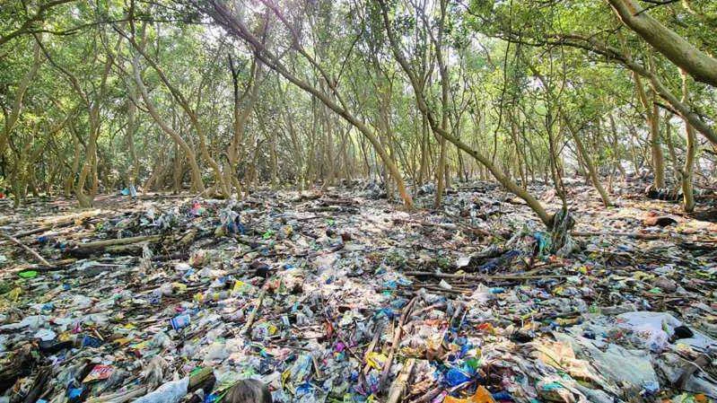 Manila Bay's Mangroves Are Choking with Garbage