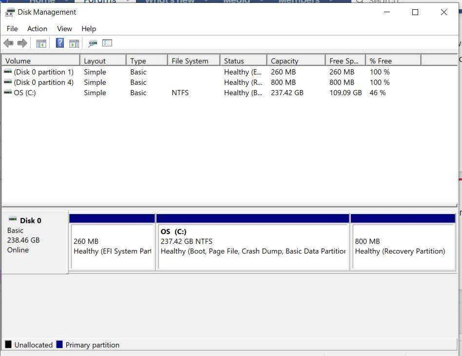 1234.webp